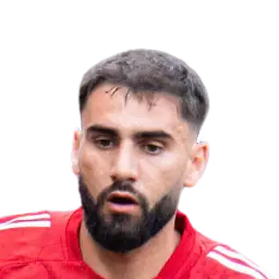 Romain Del Castillo Dream League Soccer 2025