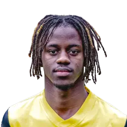 S. Fernandes Dream League Soccer 2026